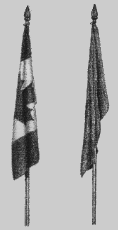 Flag8