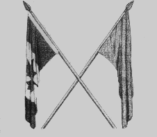 Flag9