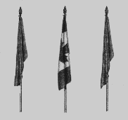 Flag10
