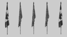 Flag11