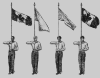 Flag20